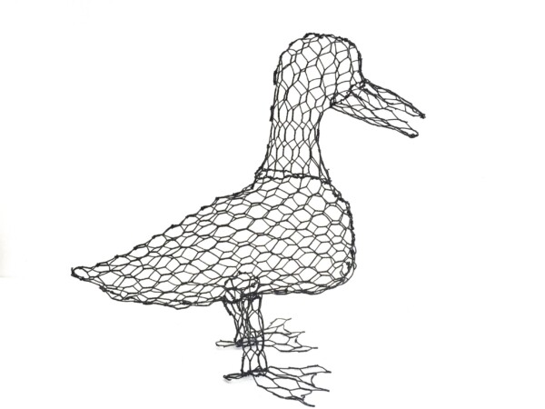 Duck - Downloadable Template & instructions