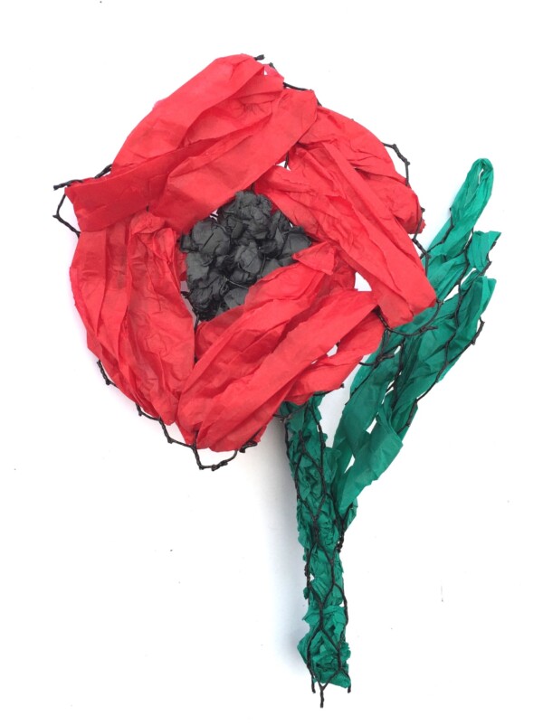 Poppy (introductory) - Downloadable Template & instructions - Image 4